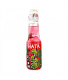 Ramune Hata Sandia