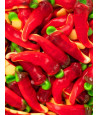 Chile Picante Relleno