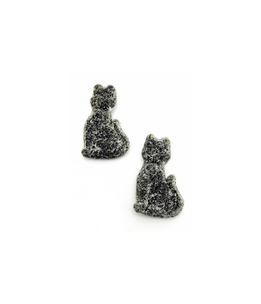 Gatos Regaliz
